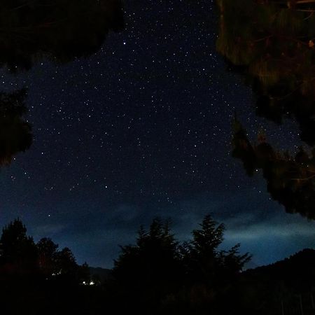 Alla Arriba Las Cruces Dış mekan fotoğraf